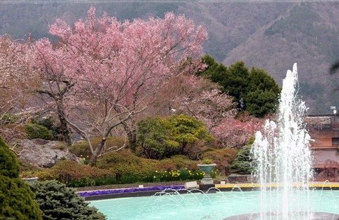 強羅公園
