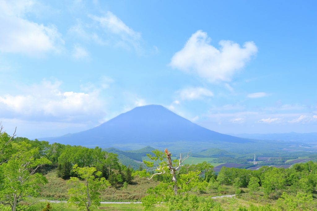 留寿都村から見た羊蹄山